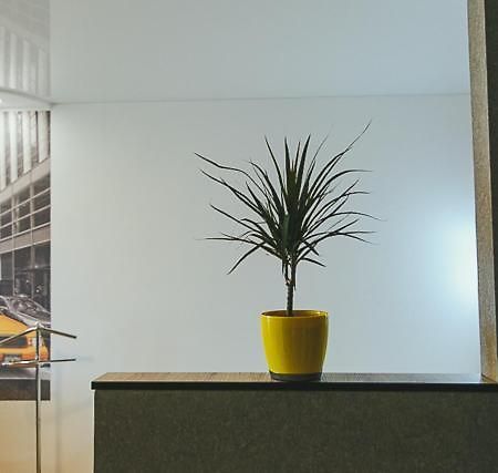 VIP apartmen Apartment Sumy Bagian luar foto